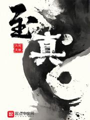 至真 封面