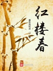 红楼贾宝玉林黛玉肉 封面