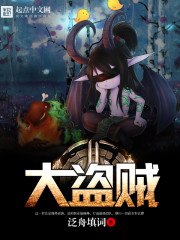 网游之大盗贼(大盗贼) 封面