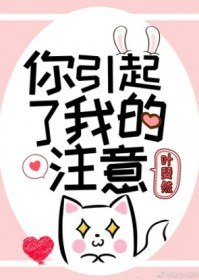 你引起了我的注意 封面
