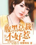 腹黑总裁不好惹 封面