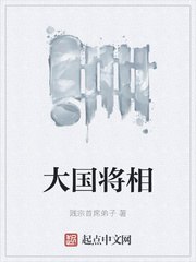 大国将相 封面