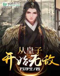 从皇子开始无敌 封面