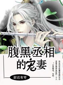 腹黑丞相的宠妻百里婧墨问 封面