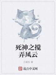 死神之搅弄风云 封面