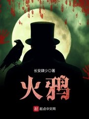 火鸦 封面