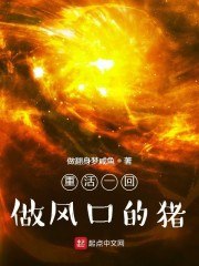 重活一回：做风口的猪 封面