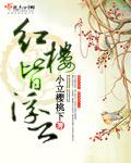 红楼皆浮云 封面
