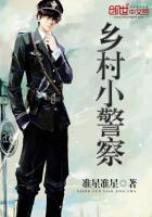 乡村小警察 封面