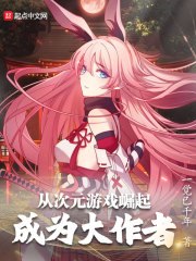 从次元游戏崛起成为大作者 封面