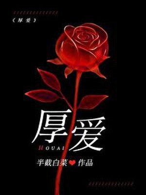 厚爱 封面