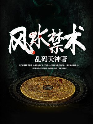 风水禁术 封面