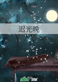 迟光晚 封面