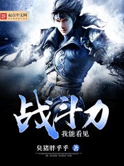 我能看见战斗力 封面