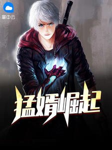 猛婿崛起韩枫 封面