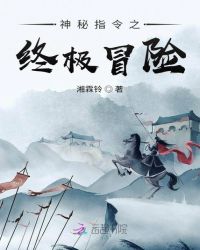 神秘指令之终极冒险 封面