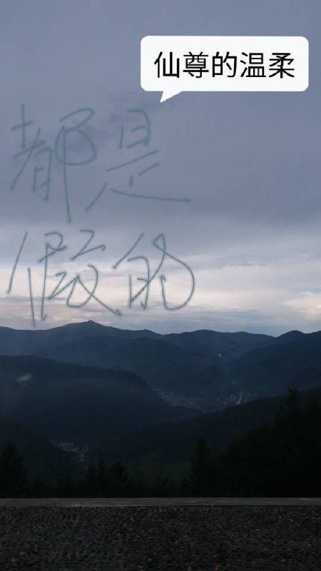 仙尊的温柔都是假的 封面