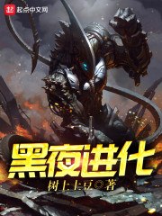 黑夜进化 封面