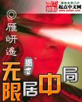 无限局中局 封面