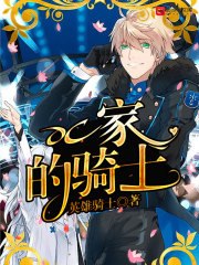 DC家的骑士 封面