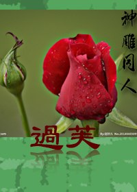 炼狱之王江黎林初绒 封面