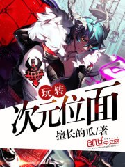玩转次元位面 封面