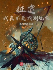 征途：我真不是内测玩家 封面