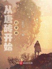 从唐砖开始的穿越 封面