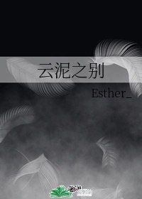 云泥之别徐湫 封面
