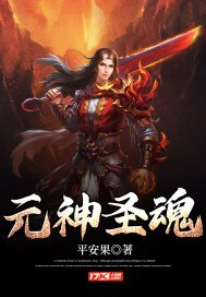 元神圣魂 封面