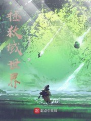 拯救域世界 封面