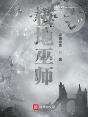 极地巫师 封面