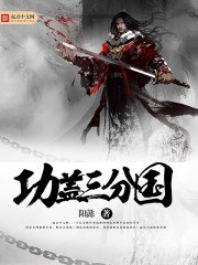功盖三分国 封面