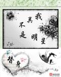 我真不是明星 封面