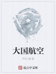 大国航空 封面