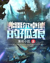 弗雷尔卓德的孤狼 封面