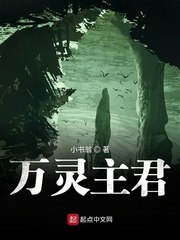 万灵主君 封面