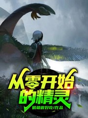 从零开始的精灵 封面