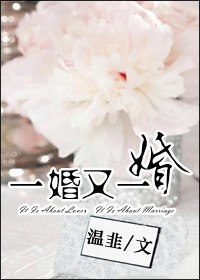 一婚又一婚 封面