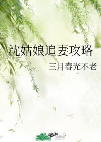 沈姑娘追妻攻略 封面